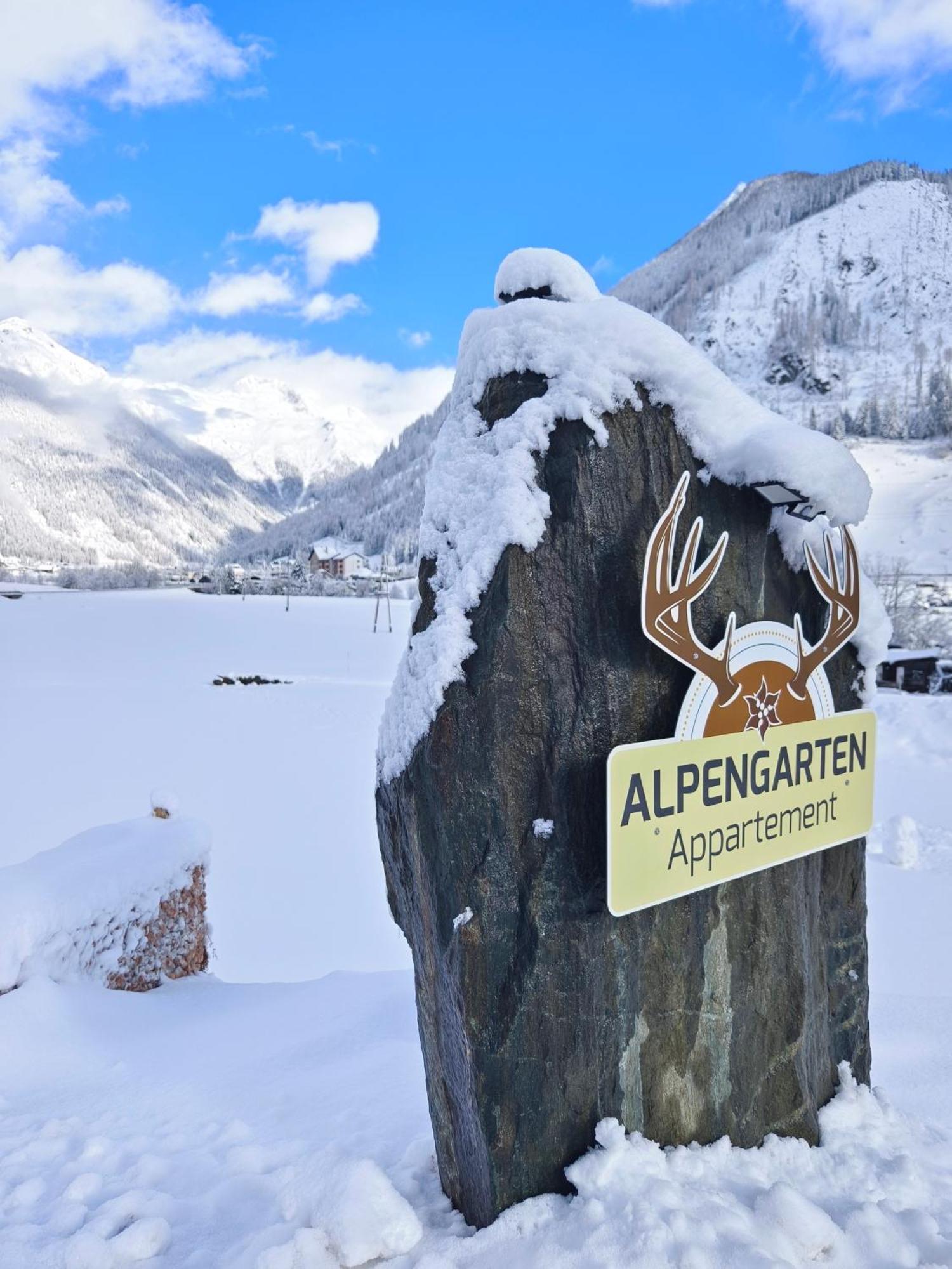 Appartements Alpengarten Mallnitz Extérieur photo